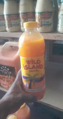 Wild Island