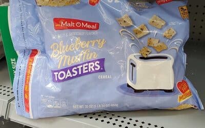 Blueberry Muffin Toasters