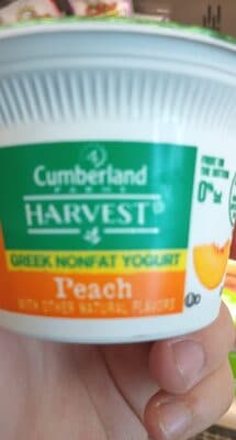 Peach Fruit On The Bottom Greek Nonfat Yogurt