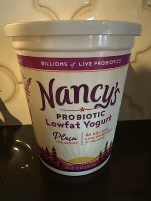 Lowfat Yogurt