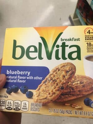 Blueberry Flavor Breakfast Biscuits
