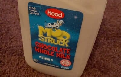 Chocolate Whole Milk