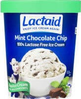 Mint Chocolate Chip Ice Cream