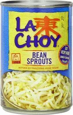 Bean Sprouts