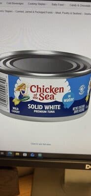 Solid White Albacore Tuna In Water