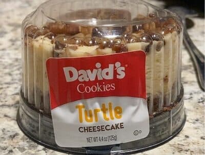 Turtle cheese cake
