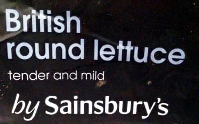British Round Lettuce