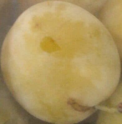Greengages