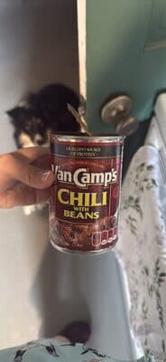 Chili With Beans