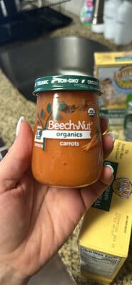 Beech-Nut Organics Stage 1 Carrots
