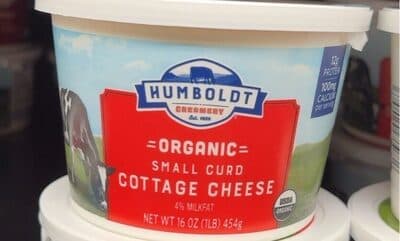 Organic Cottage cheese