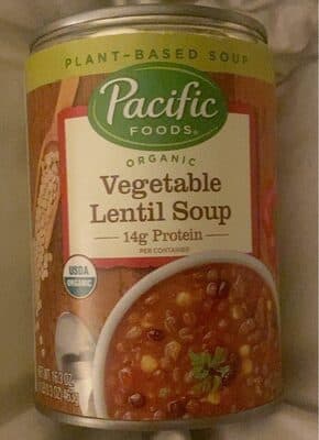 Organic Vegetable Lentil Soup