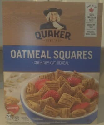 Oatmeal Squares