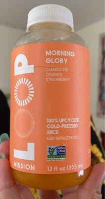 Morning Glory