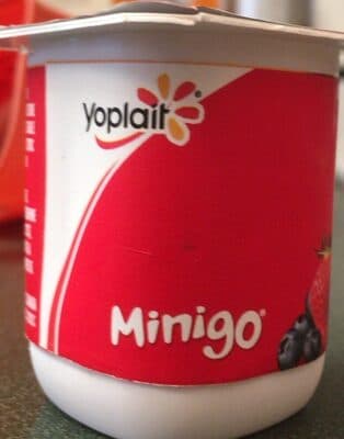Minigo