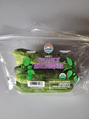 Mini Cucumber