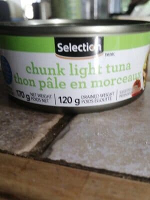 Thon ple en morceaux