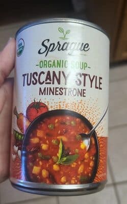 Tuscany Style Minestrone organic soup