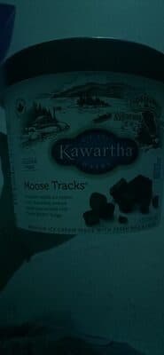 Moose Tracks