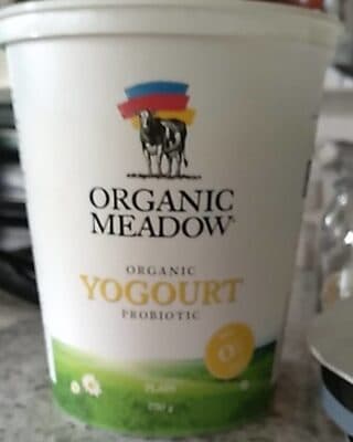 0% M.F. Plain Organic Probiotic Yogurt