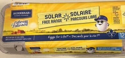 Solar free range eggs