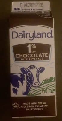 Chocolate Milk