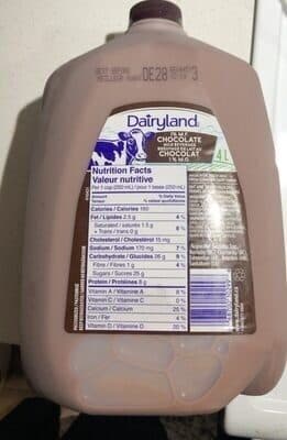 Chocolate Milk