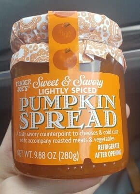 Sweet & Savory Lightly Spiced Pumpkin Spread