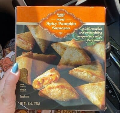 Spicy Pumpkin Samosas