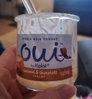 Caramel And Chocolate Yogurt