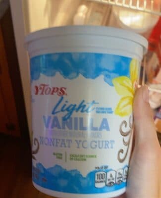 Vanilla Blended Nonfat Yogurt