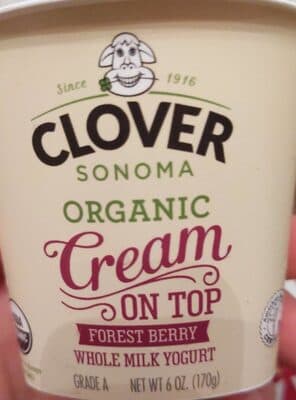 Whole milk yogurt