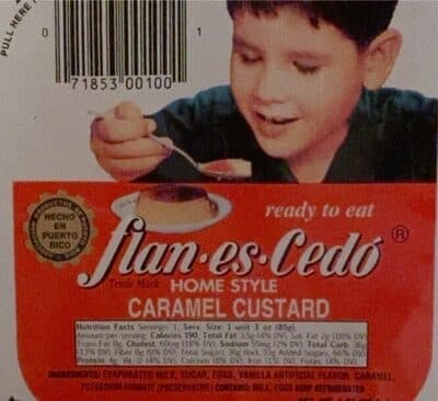 Home Style Caramel Custard