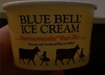 Homemade Vanilla Flavored Ice Cream