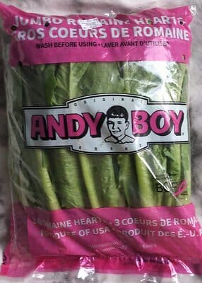 Romaine Hearts