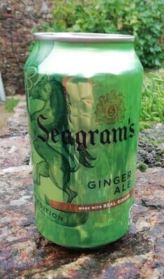 Seagrams Gin Ale-KO