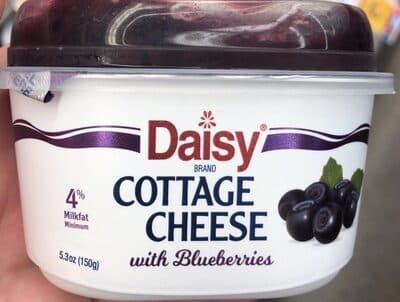 Cottage Cheese with Blueberries