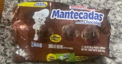 Chocolate Flavored Muffins with Chocolate Chips