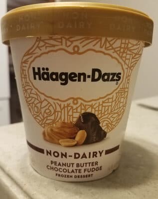 Peanut Butter Chocolate Fudge Frozen Dessert