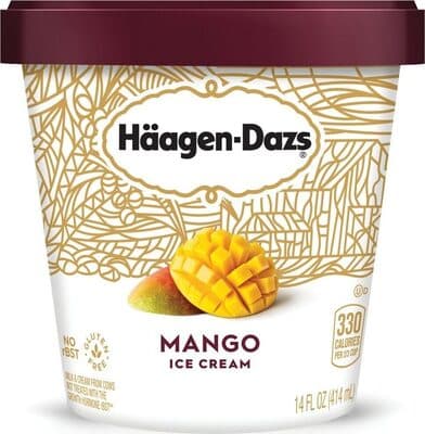 Creamy Mango Ice Cream