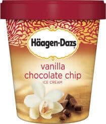 Vanilla Chocolate Chip Ice Cream