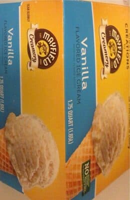 Vanilla Flavored Ice Cream
