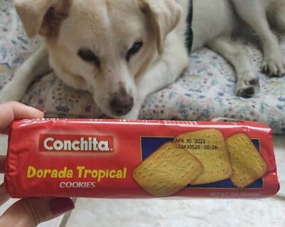 Cookies dorada tropical