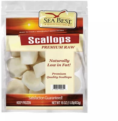 Scallops