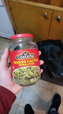 Tender Cactus Nopalitos