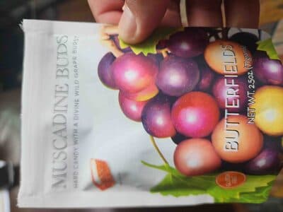 Merlot Grape Buds Hard Candy