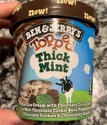 Topped Thick Mint Ice Cream With Chocolate Cookie Swirls & Mint Chocolate Cookie Balls Topped With Chocolate Cookies & Chocolatey Ganache