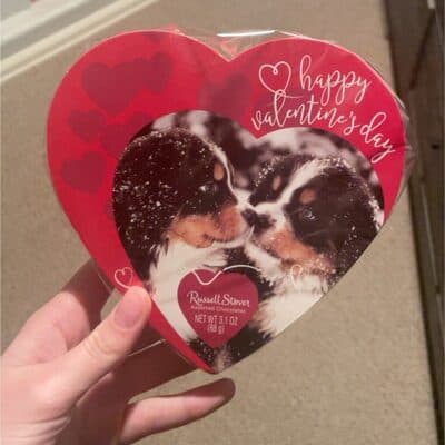 Russell Stover Assorted Chocolates