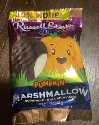 Pumpkin Marshmallow Covered in Dark Chocolate