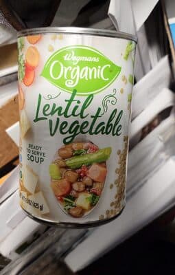 Lentil Vegetable Soup